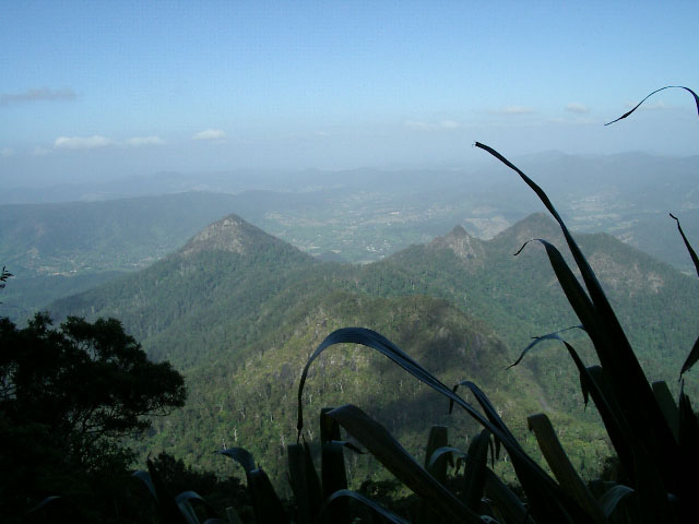 IMGP4791